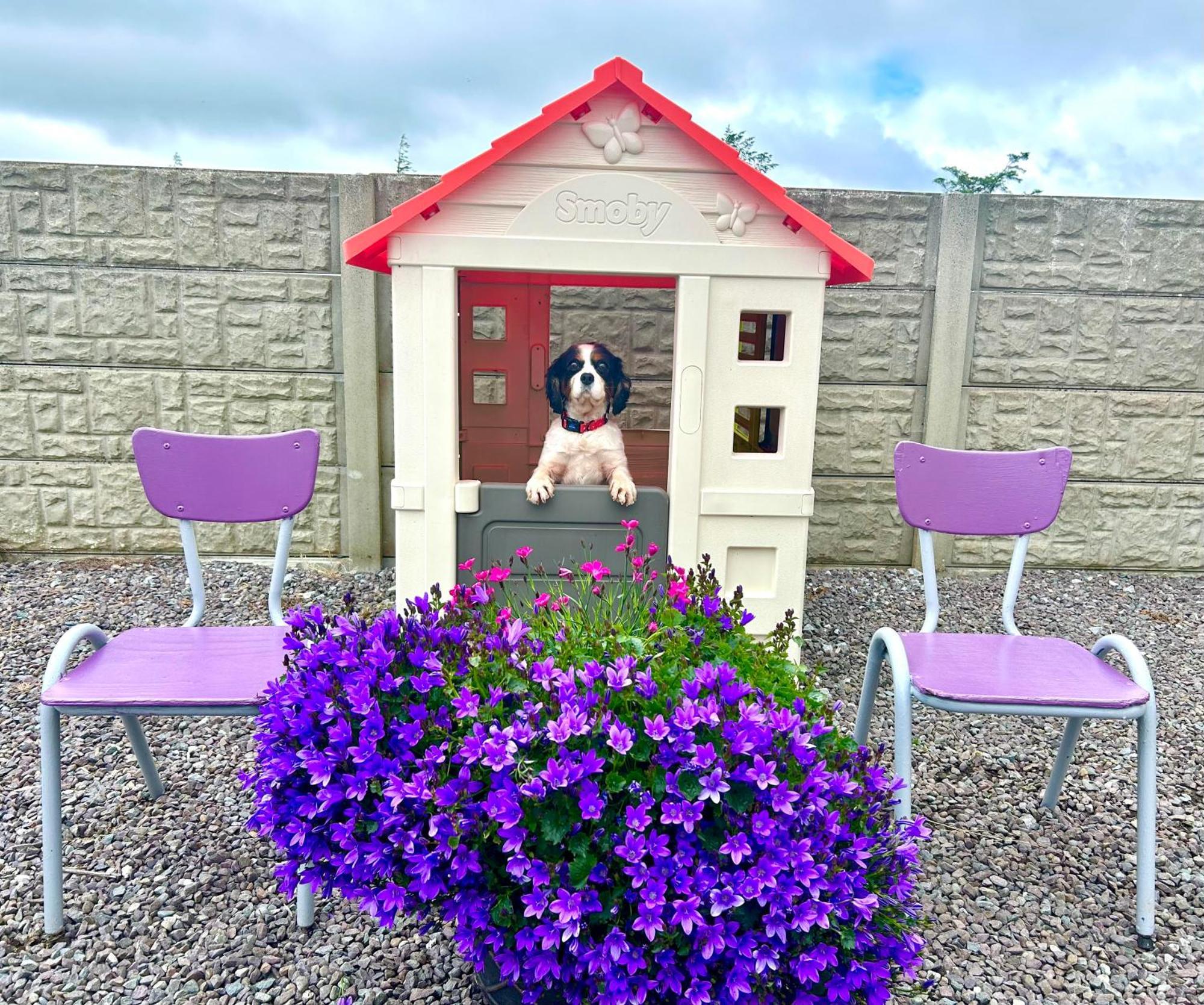 Breenville Farm House Tralee Ngoại thất bức ảnh